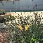 Chichichi Villa Šibenik