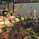 Chichichi Villa Šibenik