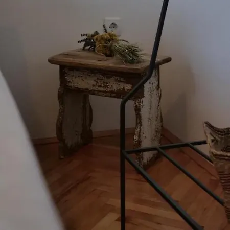 Chichichi * Sibenik