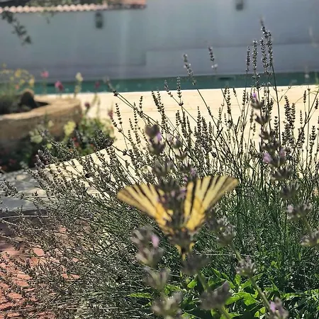 Chichichi Villa Sibenik