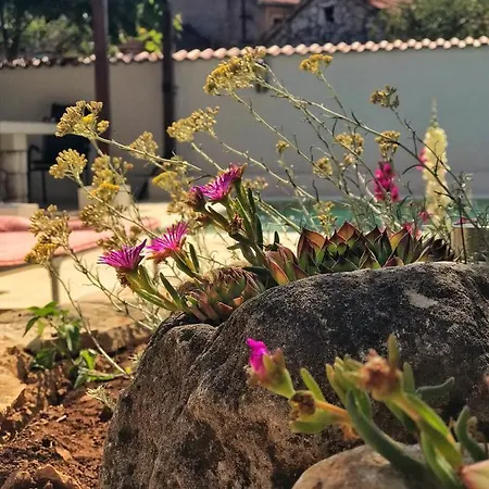 Chichichi Villa Sibenik