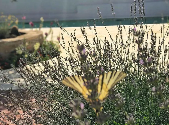 Chichichi Villa Šibenik