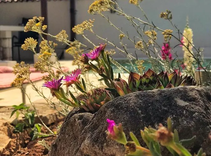 Chichichi Villa Šibenik