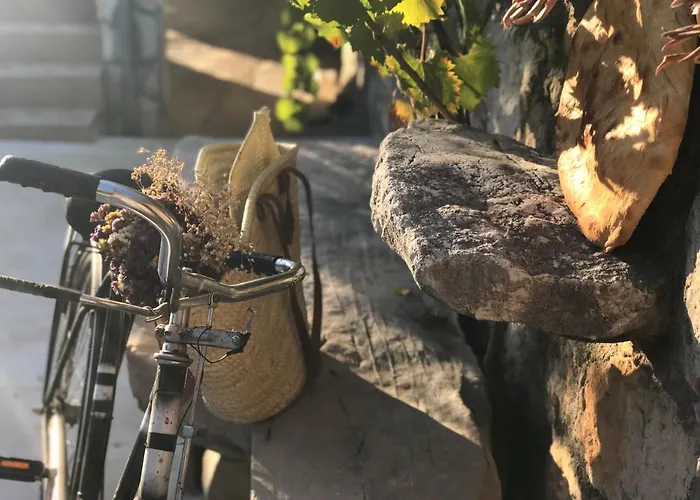 Chichichi * Šibenik